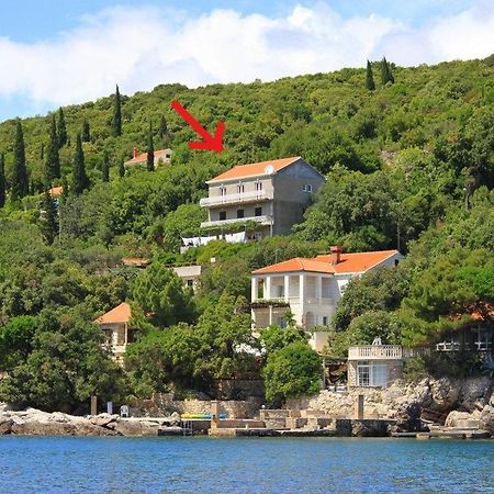 Apartments Antunovic Molunat Exterior foto
