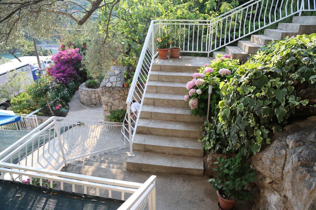Apartments Antunovic Molunat Exterior foto