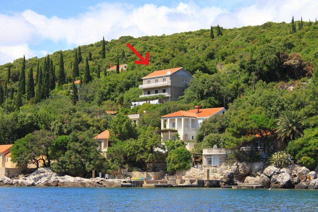 Apartments Antunovic Molunat Exterior foto